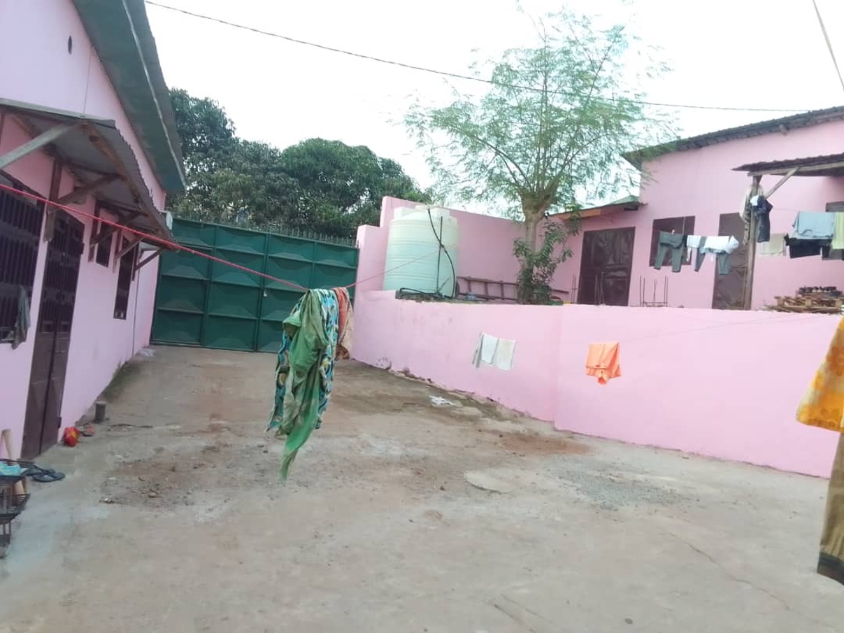 Villa rose à vendre image 2