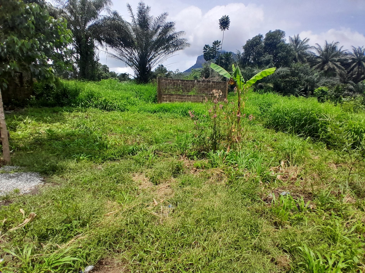 Villa à vendre à Bawa-Gbantama image 6